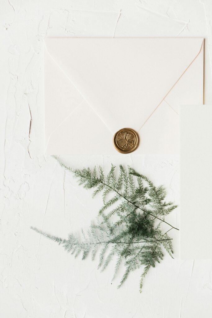 Elegant flat lay of a sealed envelope with a fern leaf, showcasing minimalist design.